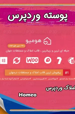 قالب وردپرس Homeo